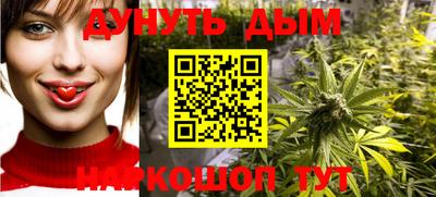 МДПВ Татарск
