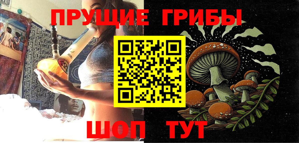 Псилоцибиновые грибы мицелий Малгобек