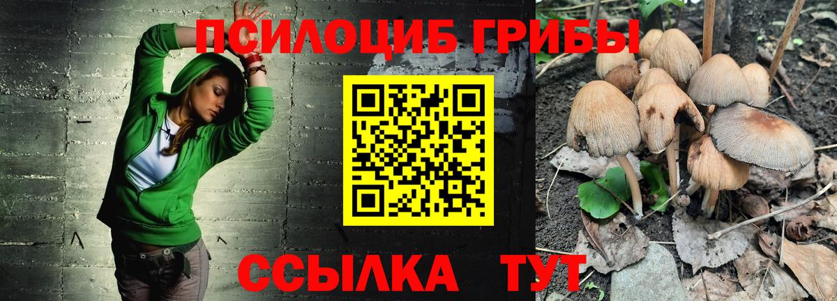 Малгобек  Галлюциногенные грибы Cubensis  Вход с VPN  купить  сайты  Псилоцибиновые грибы мухоморы 