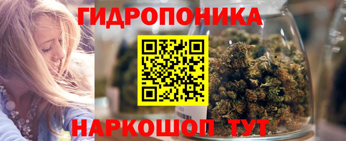 Конопля план Малгобек